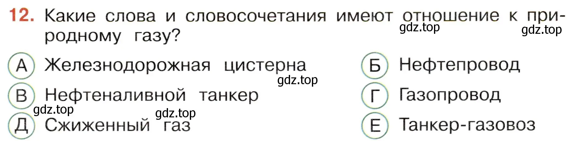 Условие номер 12 (страница 19) гдз по окружающему миру 4 класс Плешаков, Новицкая, тесты