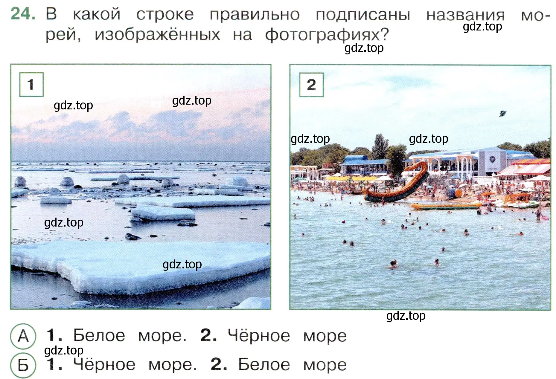 Условие номер 24 (страница 22) гдз по окружающему миру 4 класс Плешаков, Новицкая, тесты