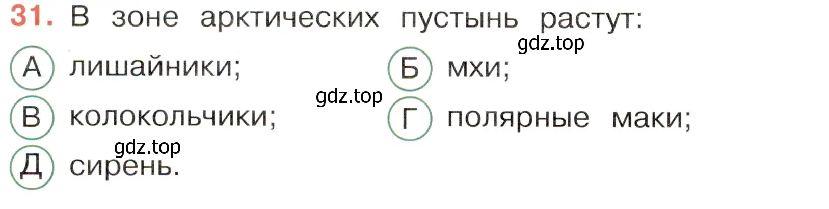 Условие номер 31 (страница 24) гдз по окружающему миру 4 класс Плешаков, Новицкая, тесты