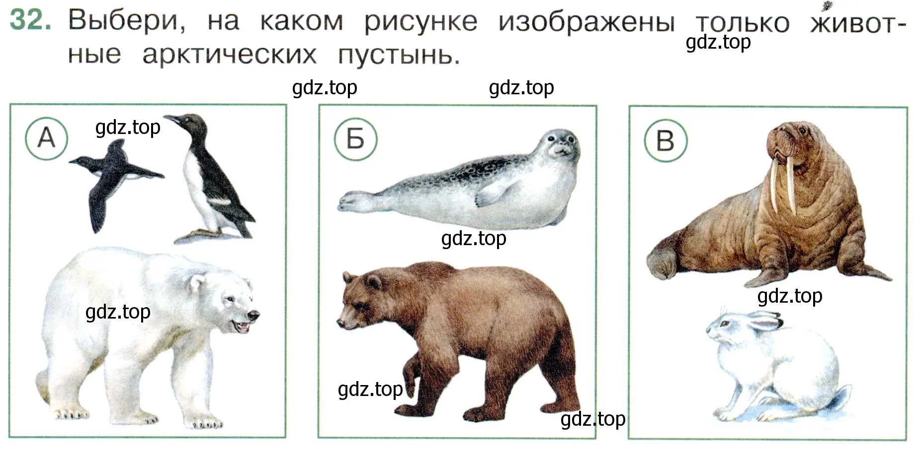 Условие номер 32 (страница 24) гдз по окружающему миру 4 класс Плешаков, Новицкая, тесты