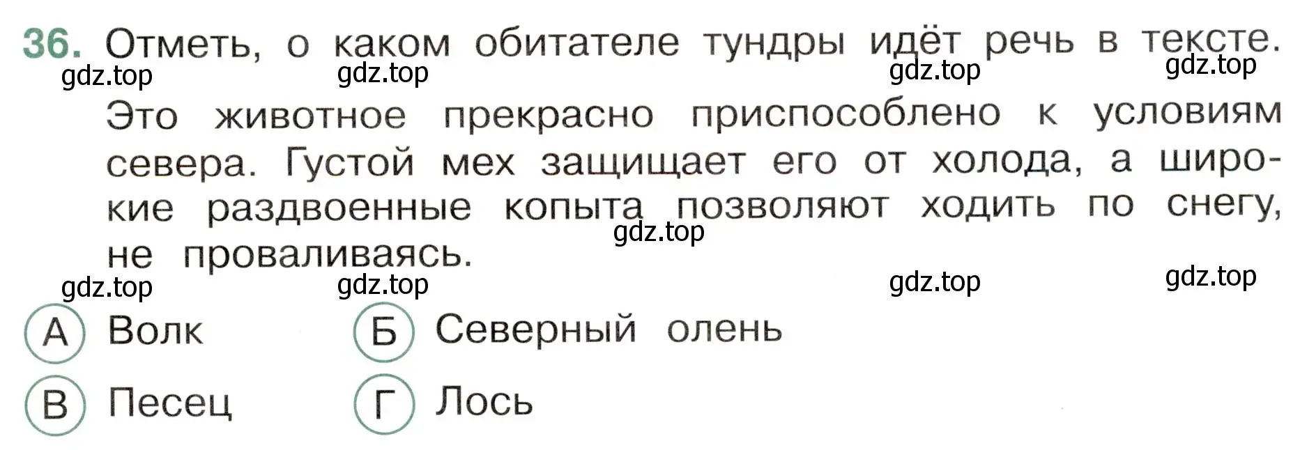 Условие номер 36 (страница 25) гдз по окружающему миру 4 класс Плешаков, Новицкая, тесты