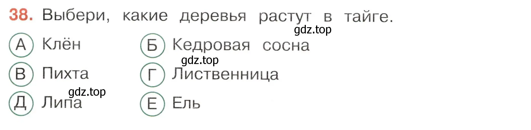 Условие номер 38 (страница 26) гдз по окружающему миру 4 класс Плешаков, Новицкая, тесты