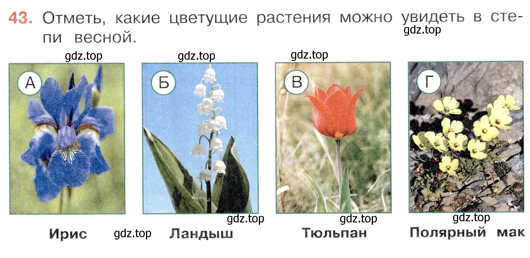 Условие номер 43 (страница 27) гдз по окружающему миру 4 класс Плешаков, Новицкая, тесты