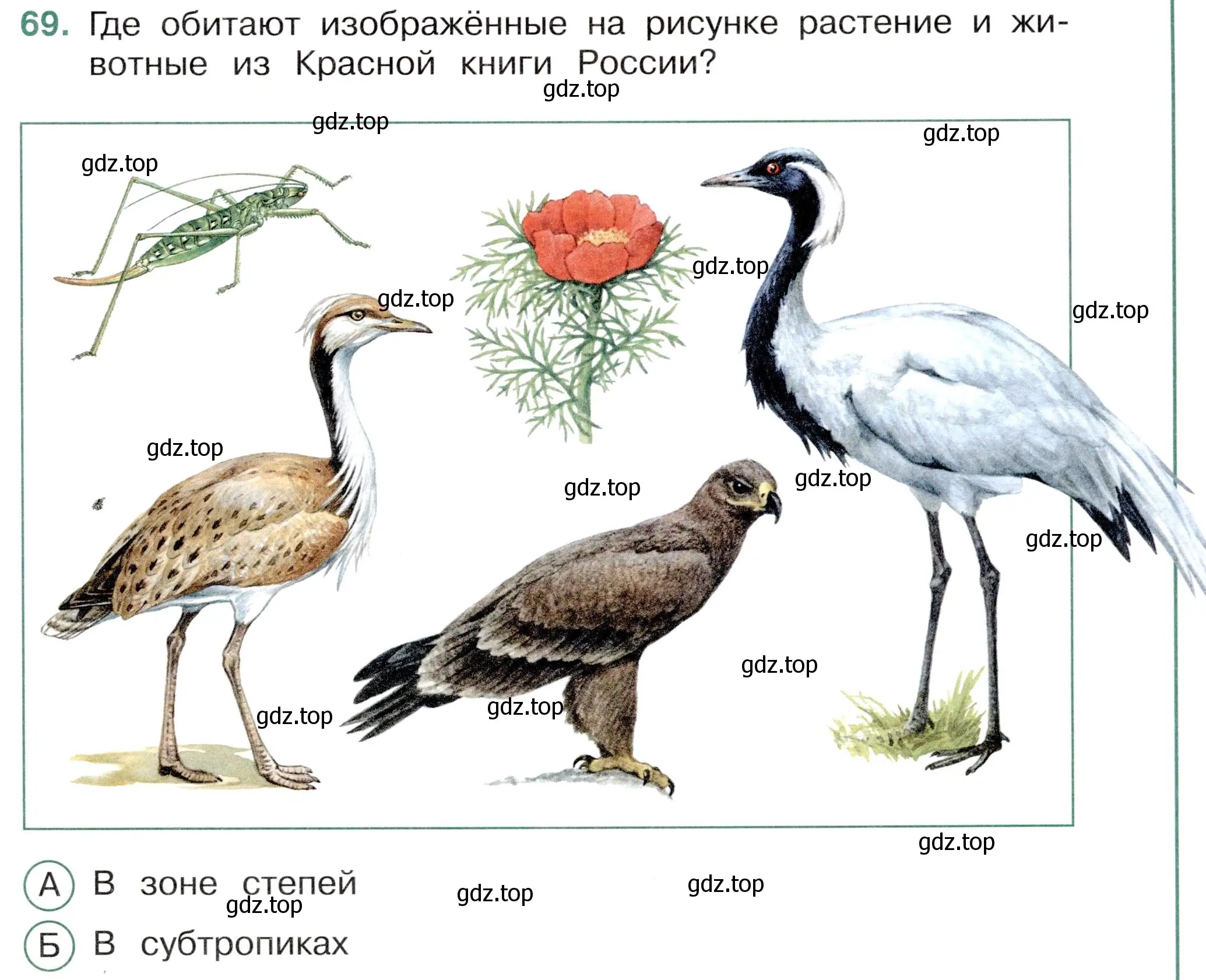 Условие номер 69 (страница 35) гдз по окружающему миру 4 класс Плешаков, Новицкая, тесты