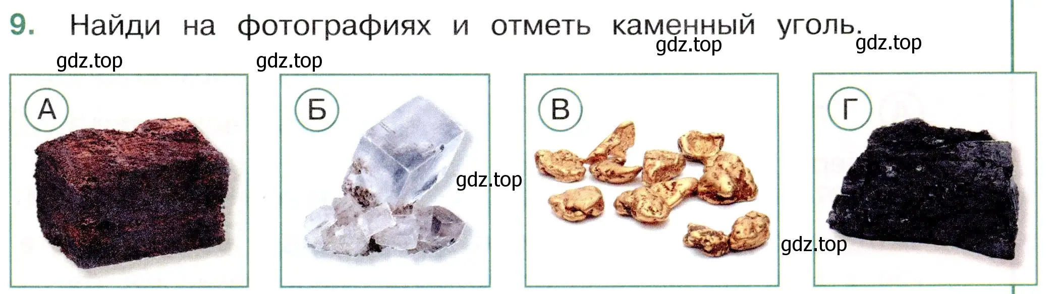 Условие номер 9 (страница 19) гдз по окружающему миру 4 класс Плешаков, Новицкая, тесты