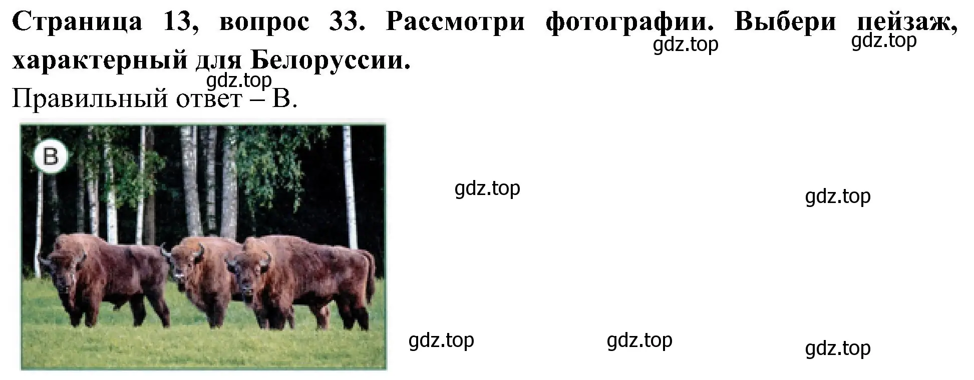 Решение номер 33 (страница 13) гдз по окружающему миру 4 класс Плешаков, Новицкая, тесты