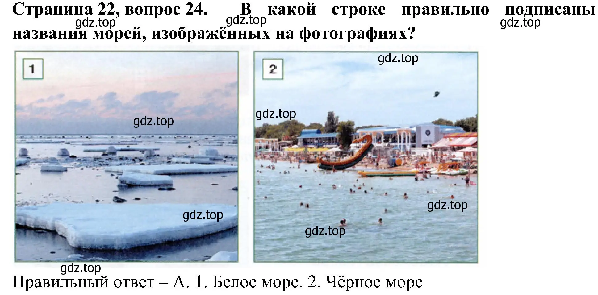 Решение номер 24 (страница 22) гдз по окружающему миру 4 класс Плешаков, Новицкая, тесты