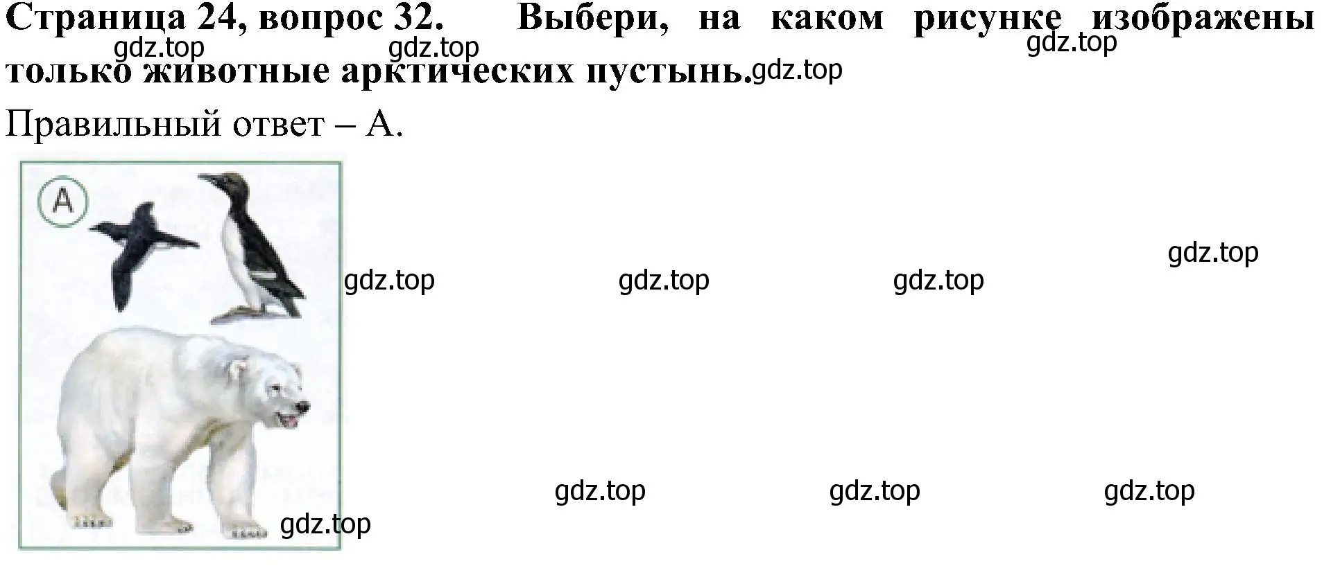 Решение номер 32 (страница 24) гдз по окружающему миру 4 класс Плешаков, Новицкая, тесты