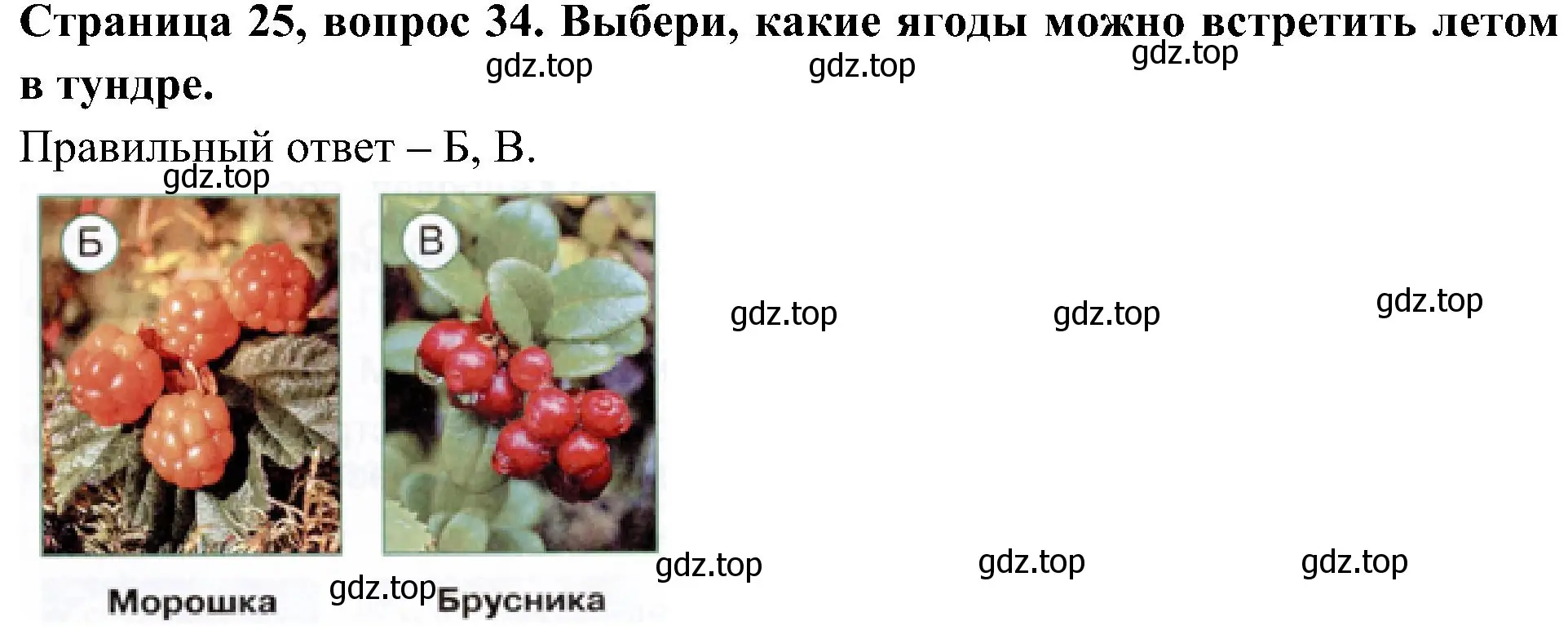 Решение номер 34 (страница 25) гдз по окружающему миру 4 класс Плешаков, Новицкая, тесты