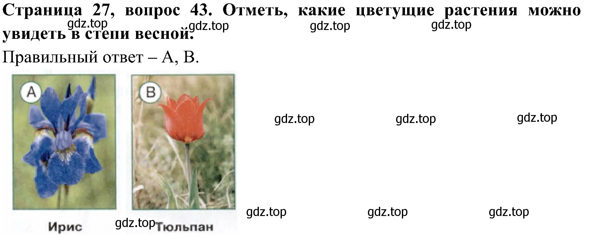 Решение номер 43 (страница 27) гдз по окружающему миру 4 класс Плешаков, Новицкая, тесты