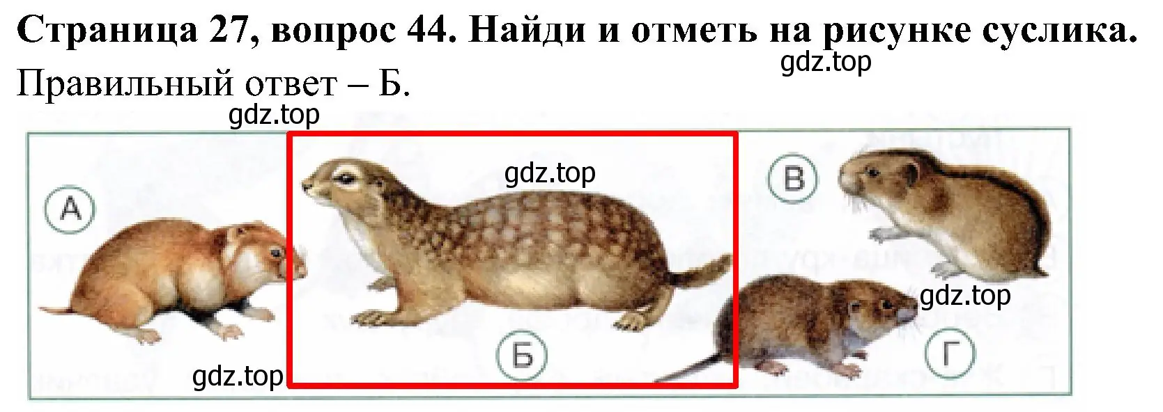 Решение номер 44 (страница 27) гдз по окружающему миру 4 класс Плешаков, Новицкая, тесты