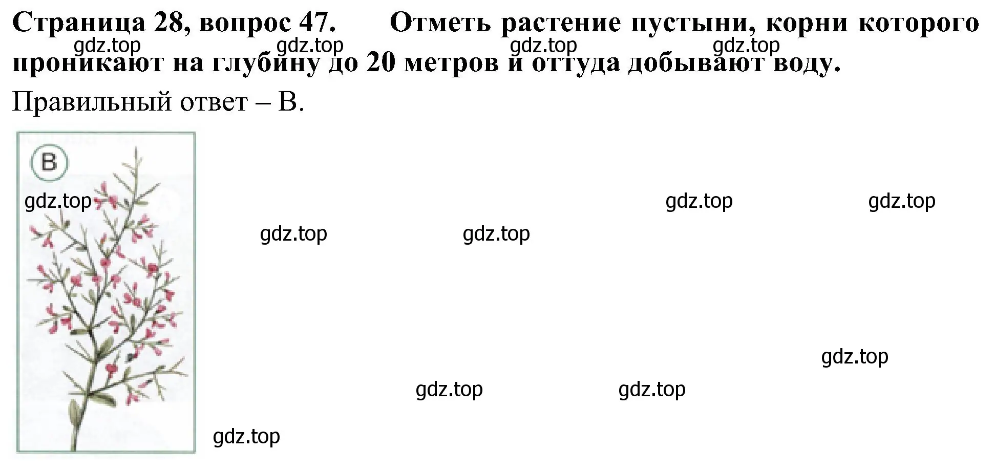 Решение номер 47 (страница 28) гдз по окружающему миру 4 класс Плешаков, Новицкая, тесты