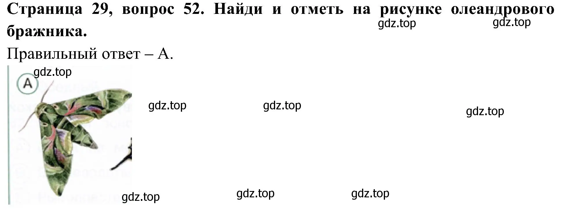 Решение номер 52 (страница 29) гдз по окружающему миру 4 класс Плешаков, Новицкая, тесты