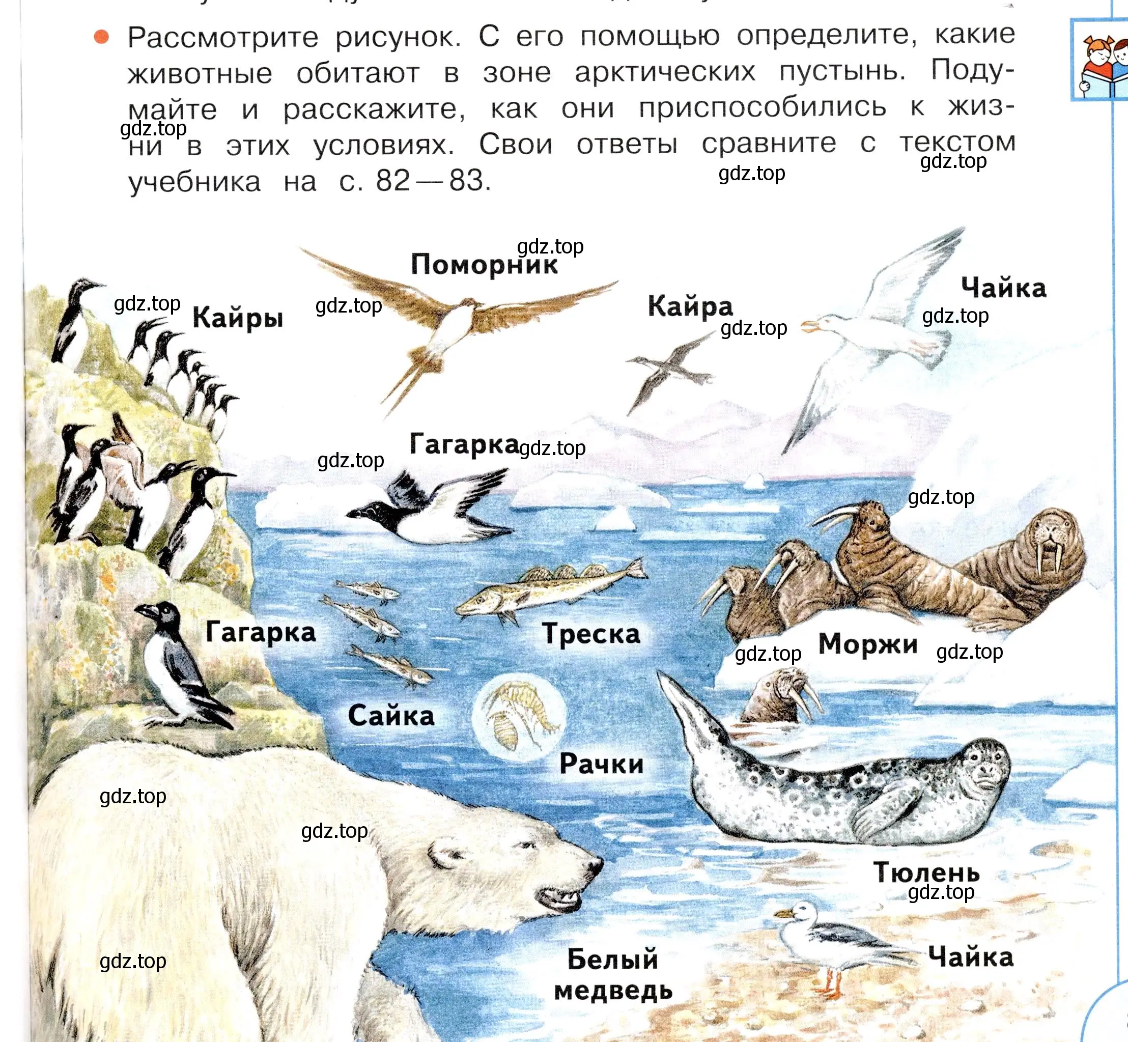 Условие номер 2 (страница 81) гдз по окружающему миру 4 класс Плешаков, Новицкая, учебник 1 часть