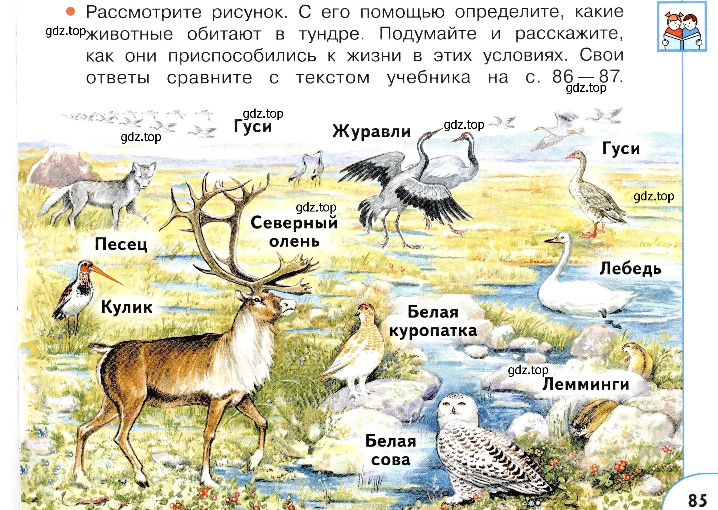 Условие номер 2 (страница 85) гдз по окружающему миру 4 класс Плешаков, Новицкая, учебник 1 часть