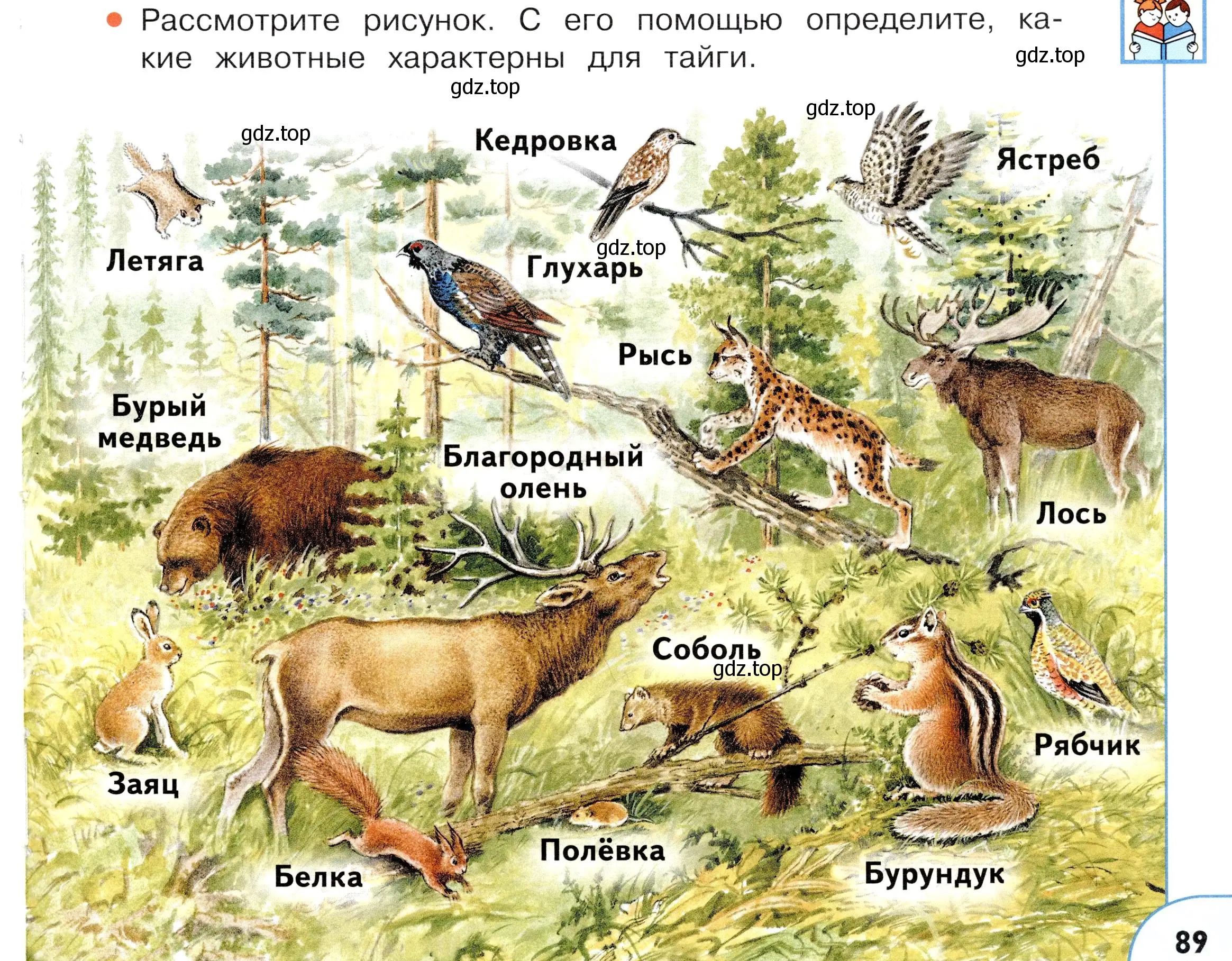 Условие номер 2 (страница 89) гдз по окружающему миру 4 класс Плешаков, Новицкая, учебник 1 часть