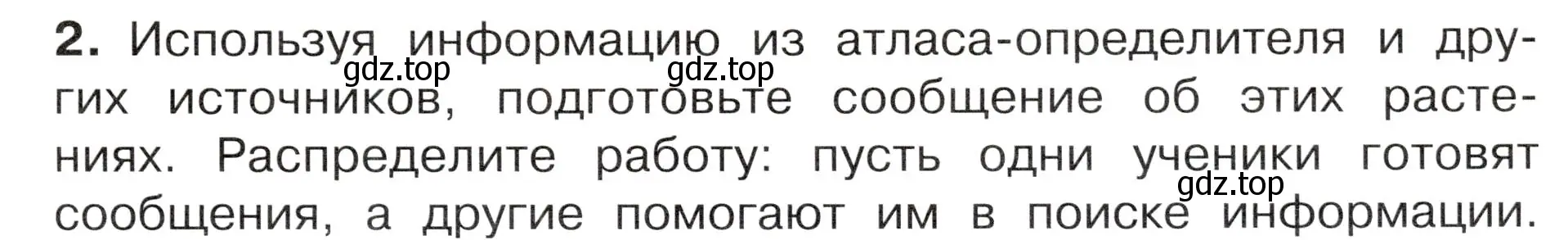 Условие номер 2 (страница 91) гдз по окружающему миру 4 класс Плешаков, Новицкая, учебник 1 часть