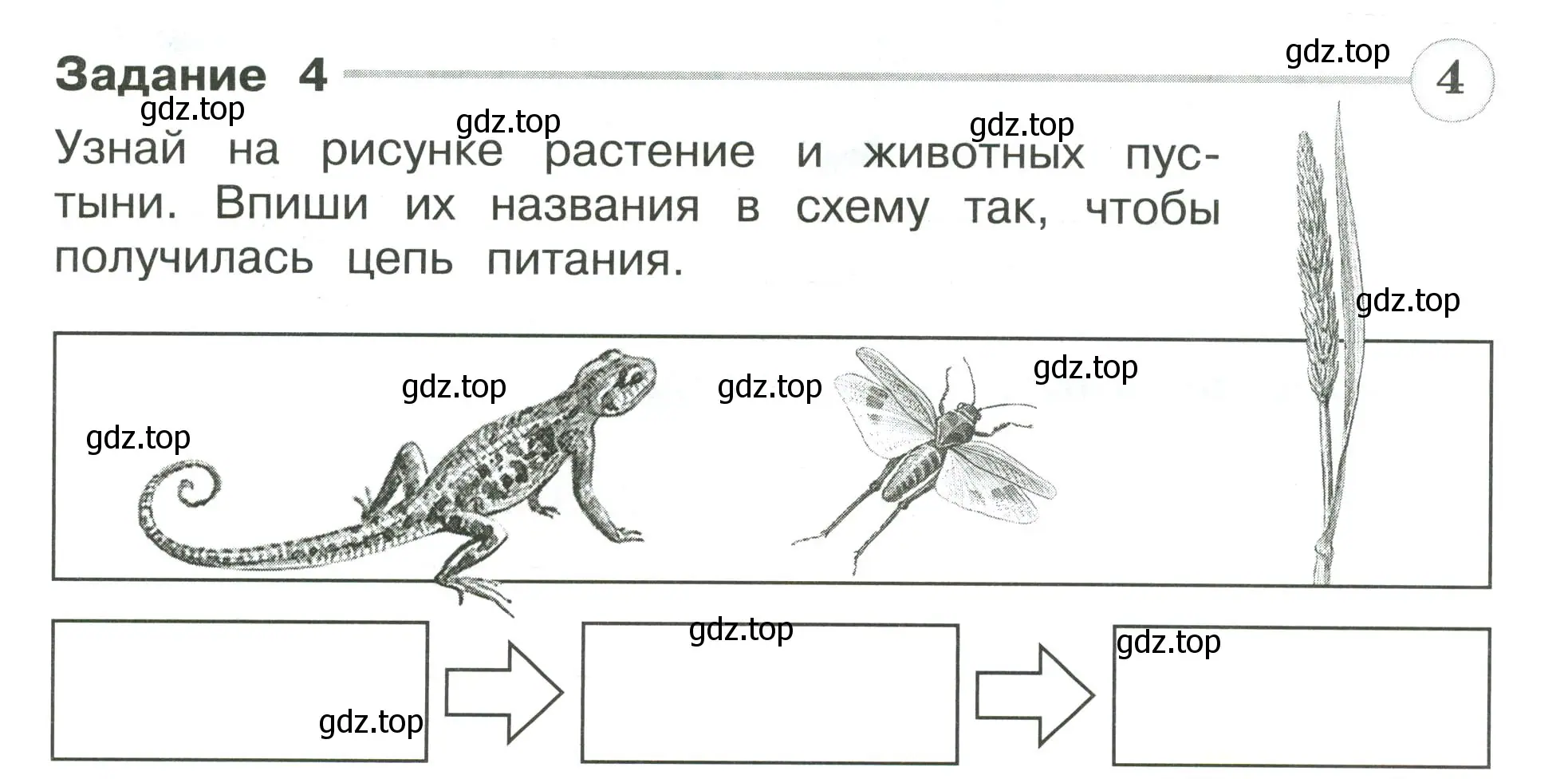 Условие номер 4 (страница 25) гдз по окружающему миру 4 класс Плешаков, Крючкова, проверочные работы