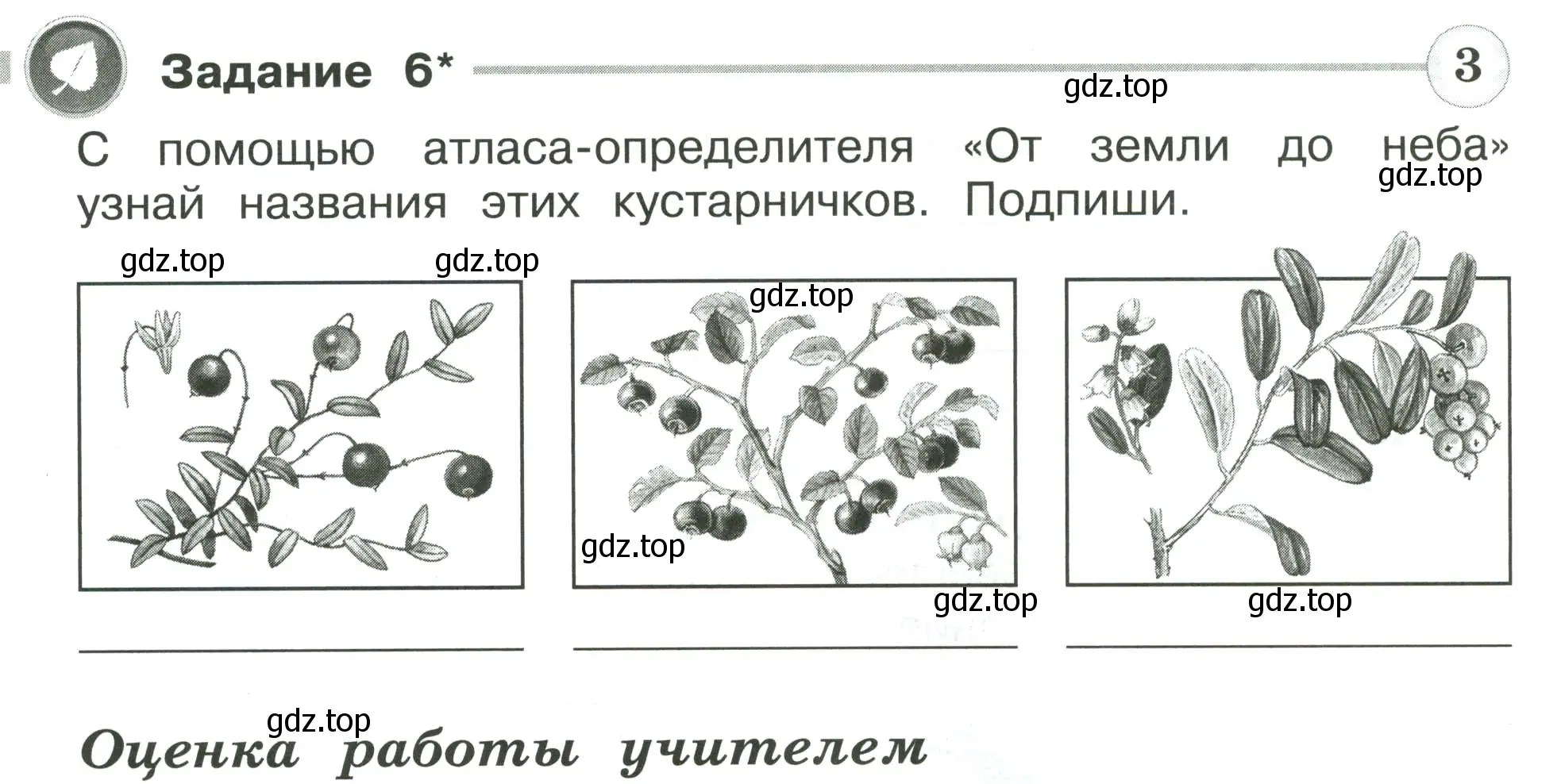 Условие номер 6 (страница 26) гдз по окружающему миру 4 класс Плешаков, Крючкова, проверочные работы