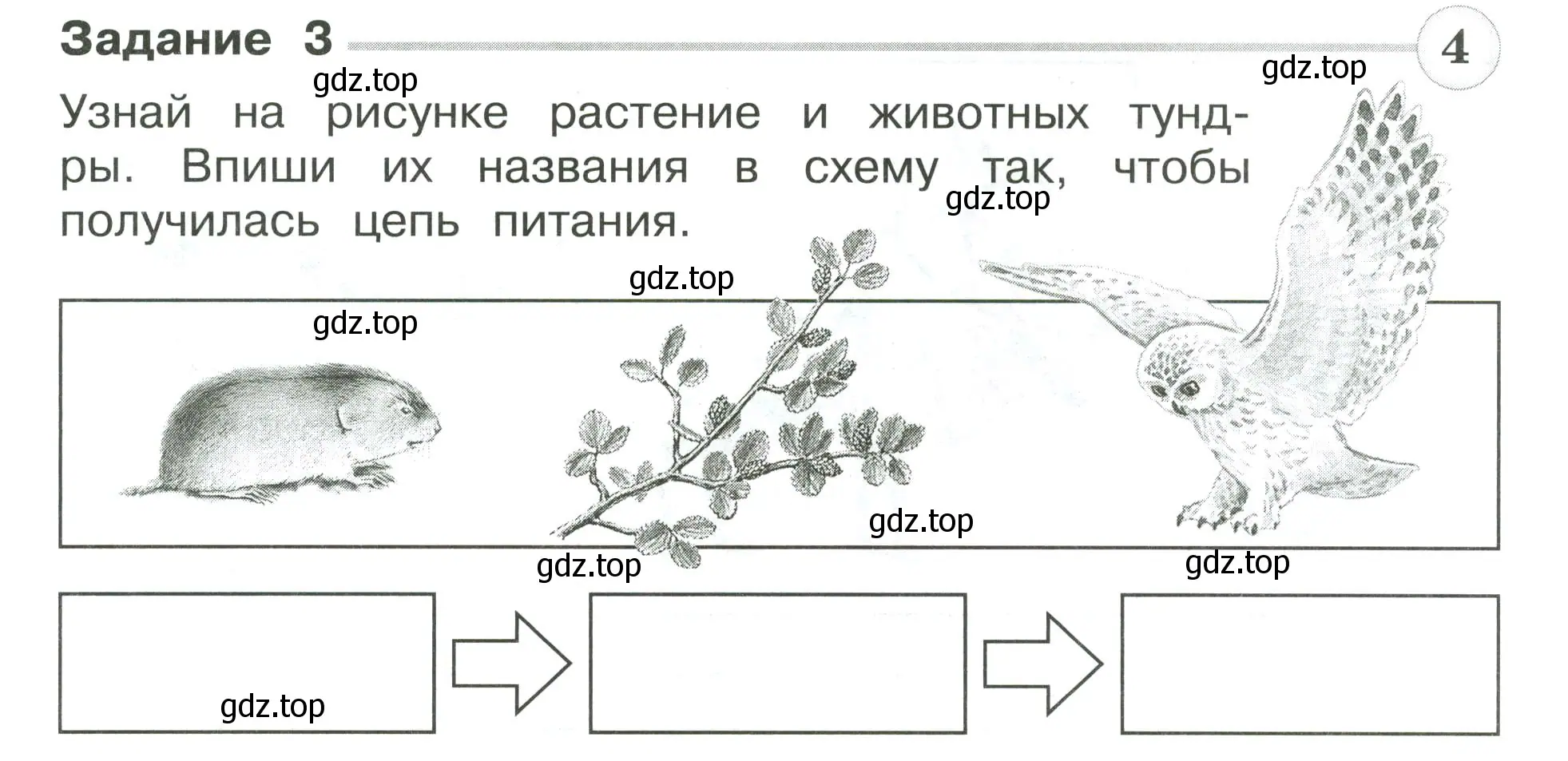 Условие номер 3 (страница 29) гдз по окружающему миру 4 класс Плешаков, Крючкова, проверочные работы