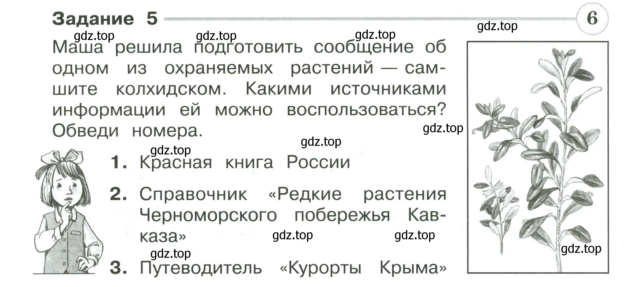 Условие номер 5 (страница 30) гдз по окружающему миру 4 класс Плешаков, Крючкова, проверочные работы
