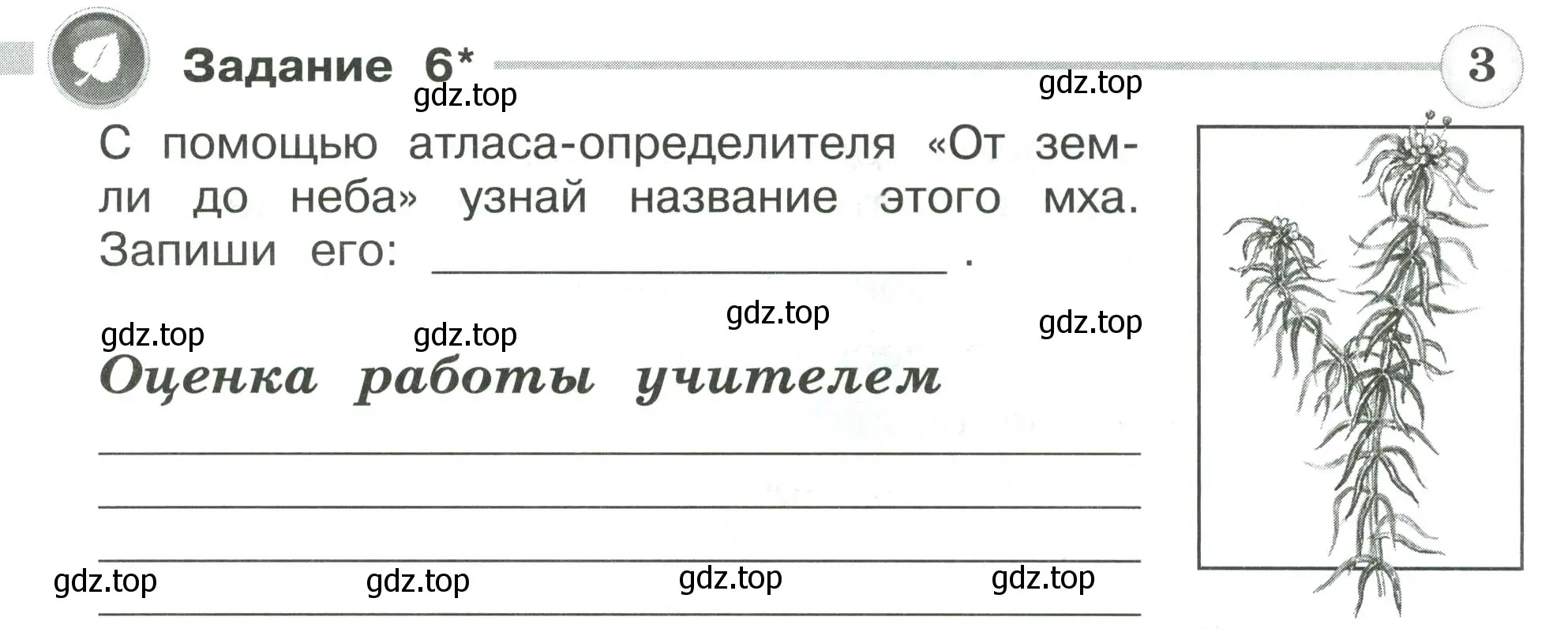 Условие номер 6 (страница 32) гдз по окружающему миру 4 класс Плешаков, Крючкова, проверочные работы