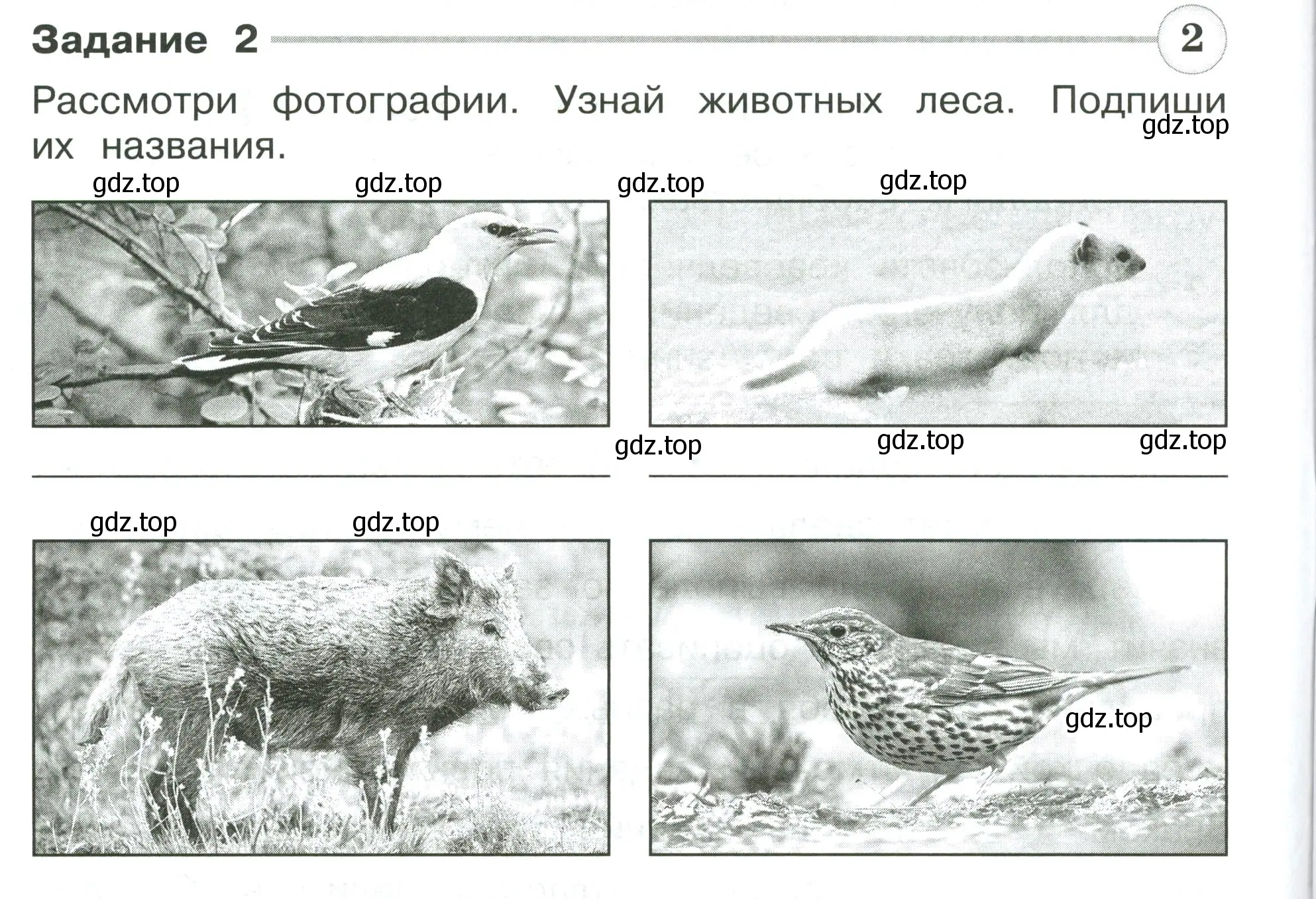 Условие номер 2 (страница 34) гдз по окружающему миру 4 класс Плешаков, Крючкова, проверочные работы