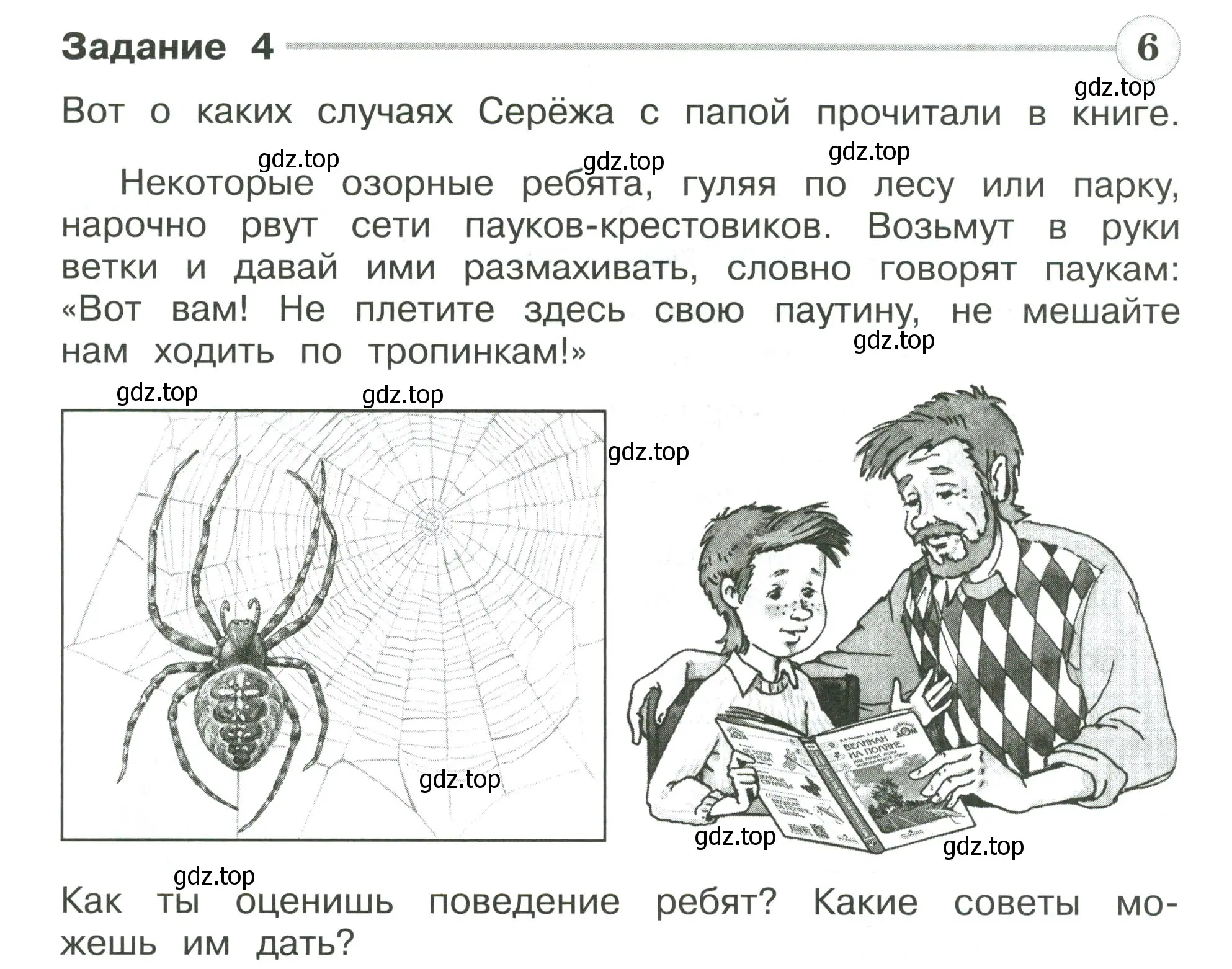 Условие номер 4 (страница 38) гдз по окружающему миру 4 класс Плешаков, Крючкова, проверочные работы