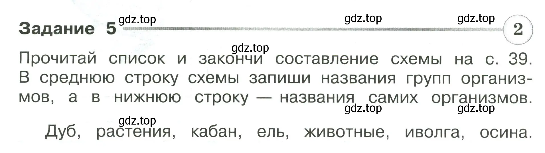 Условие номер 5 (страница 38) гдз по окружающему миру 4 класс Плешаков, Крючкова, проверочные работы