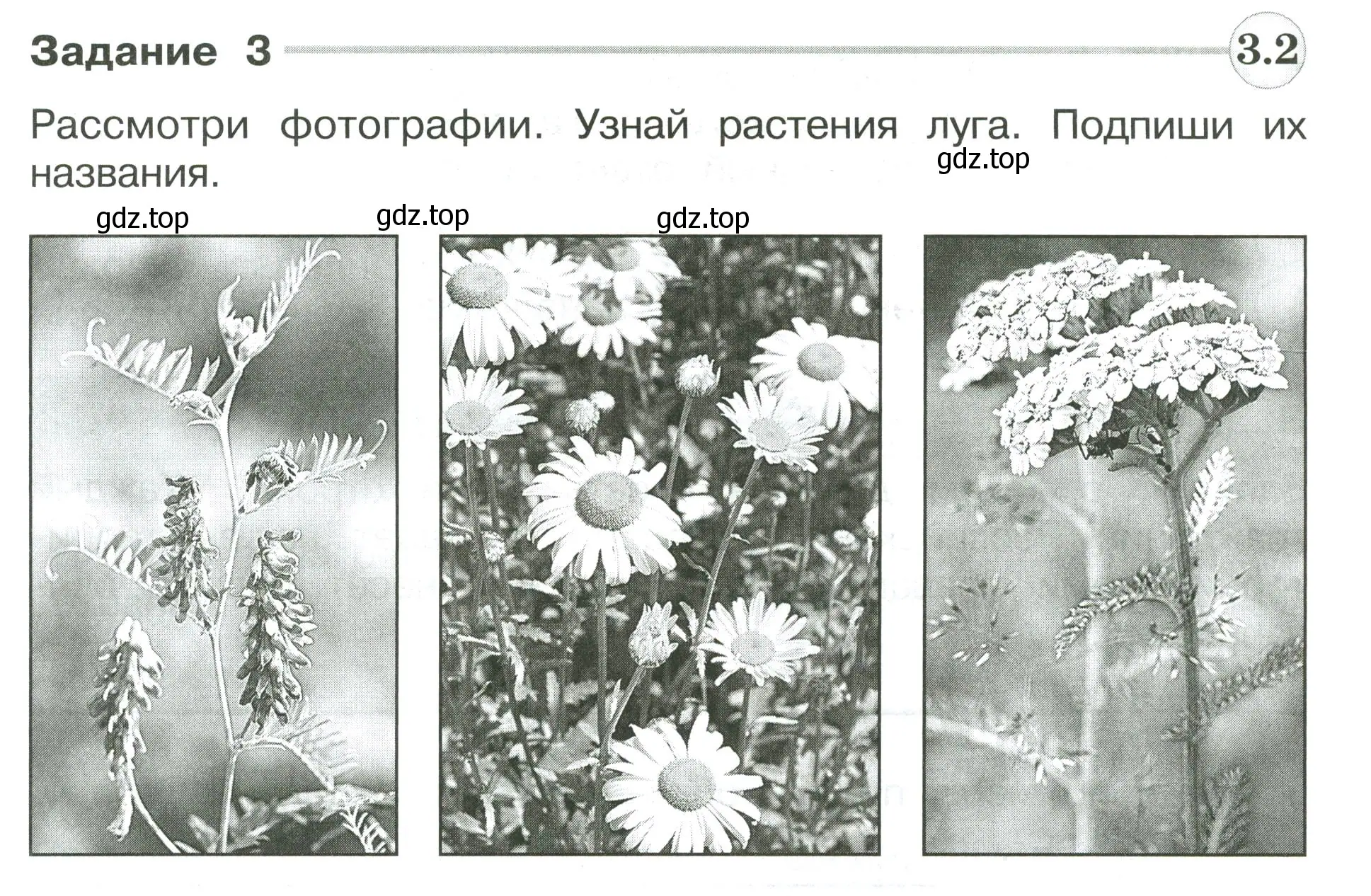 Условие номер 3 (страница 93) гдз по окружающему миру 4 класс Плешаков, Крючкова, проверочные работы