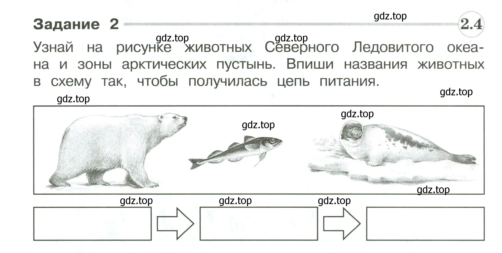 Условие номер 2 (страница 102) гдз по окружающему миру 4 класс Плешаков, Крючкова, проверочные работы