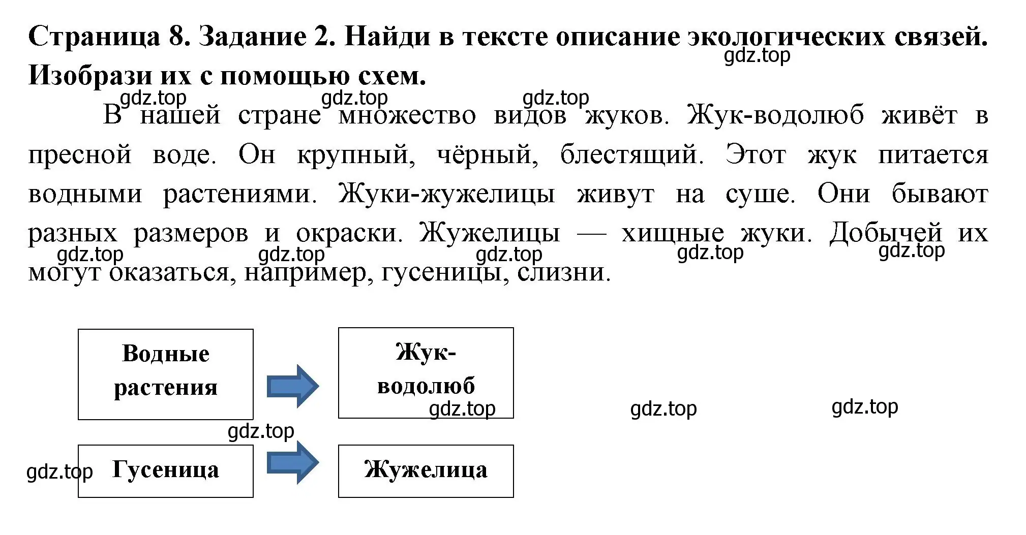 Решение номер 2 (страница 8) гдз по окружающему миру 4 класс Плешаков, Крючкова, проверочные работы