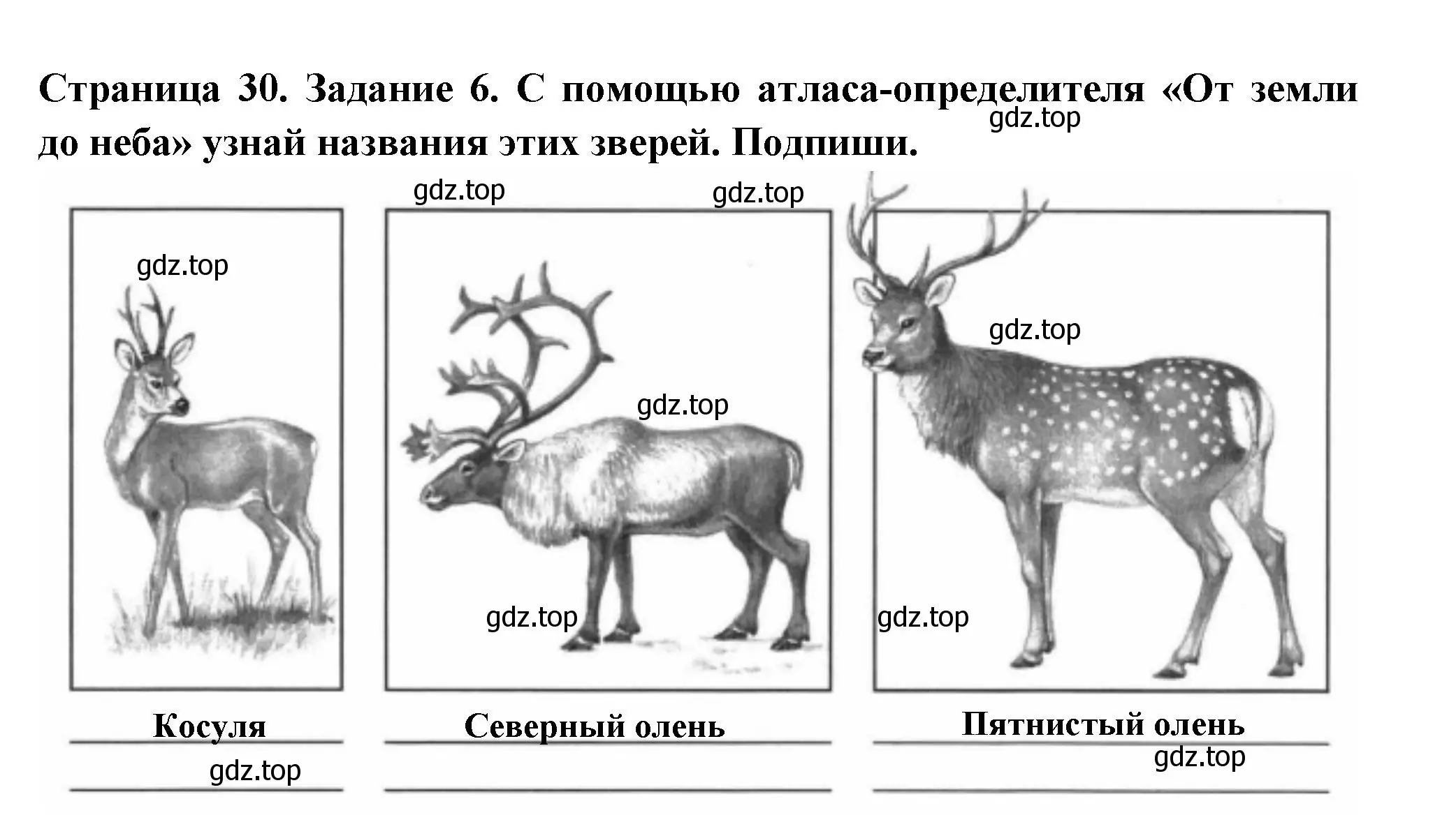 Решение номер 6 (страница 30) гдз по окружающему миру 4 класс Плешаков, Крючкова, проверочные работы