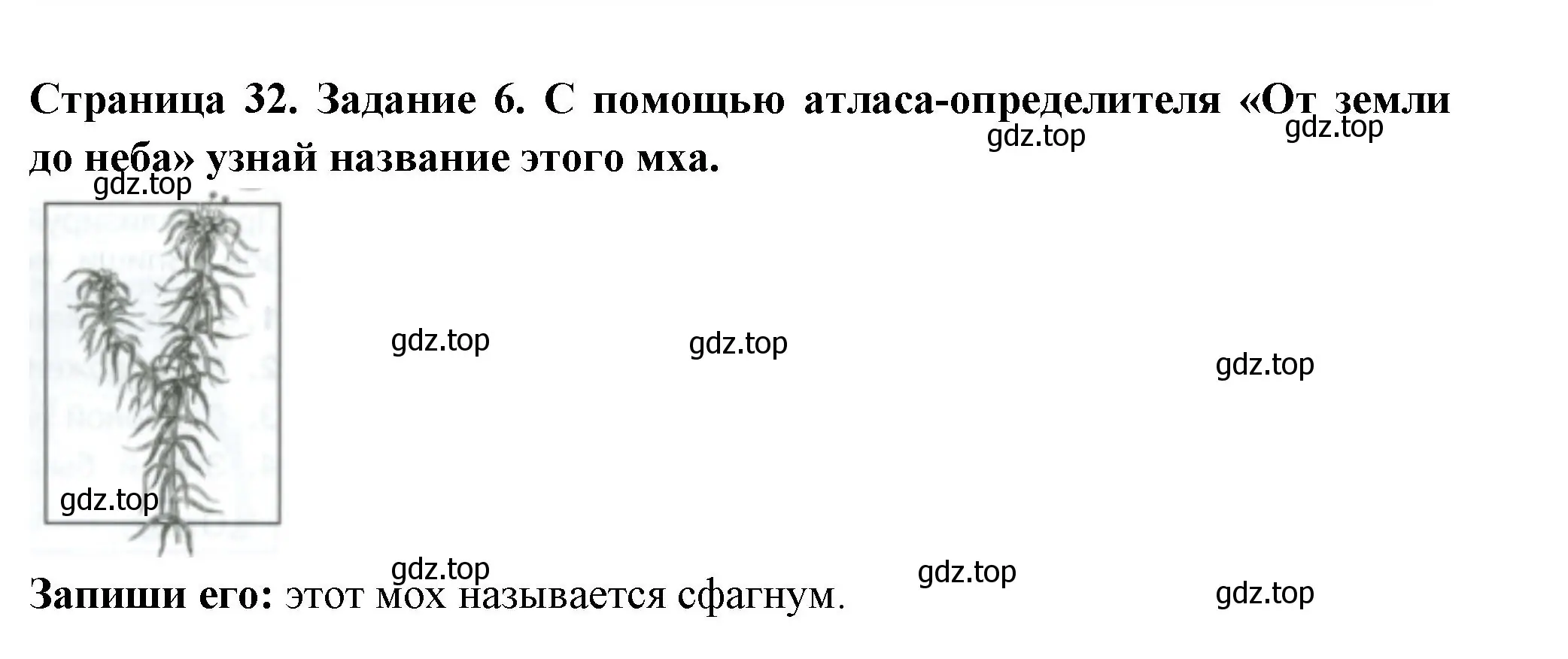 Решение номер 6 (страница 32) гдз по окружающему миру 4 класс Плешаков, Крючкова, проверочные работы