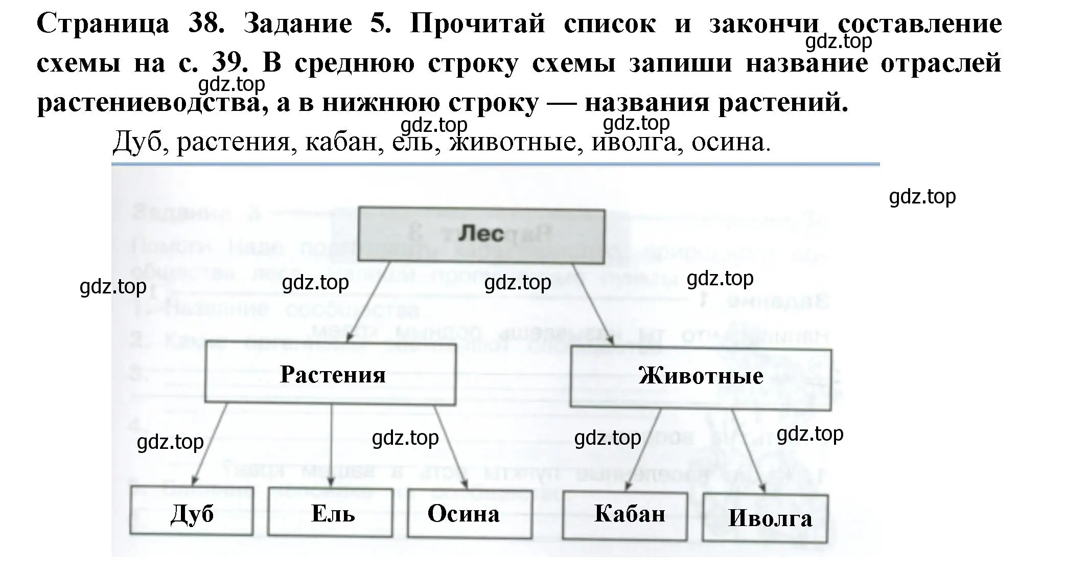 Решение номер 5 (страница 38) гдз по окружающему миру 4 класс Плешаков, Крючкова, проверочные работы
