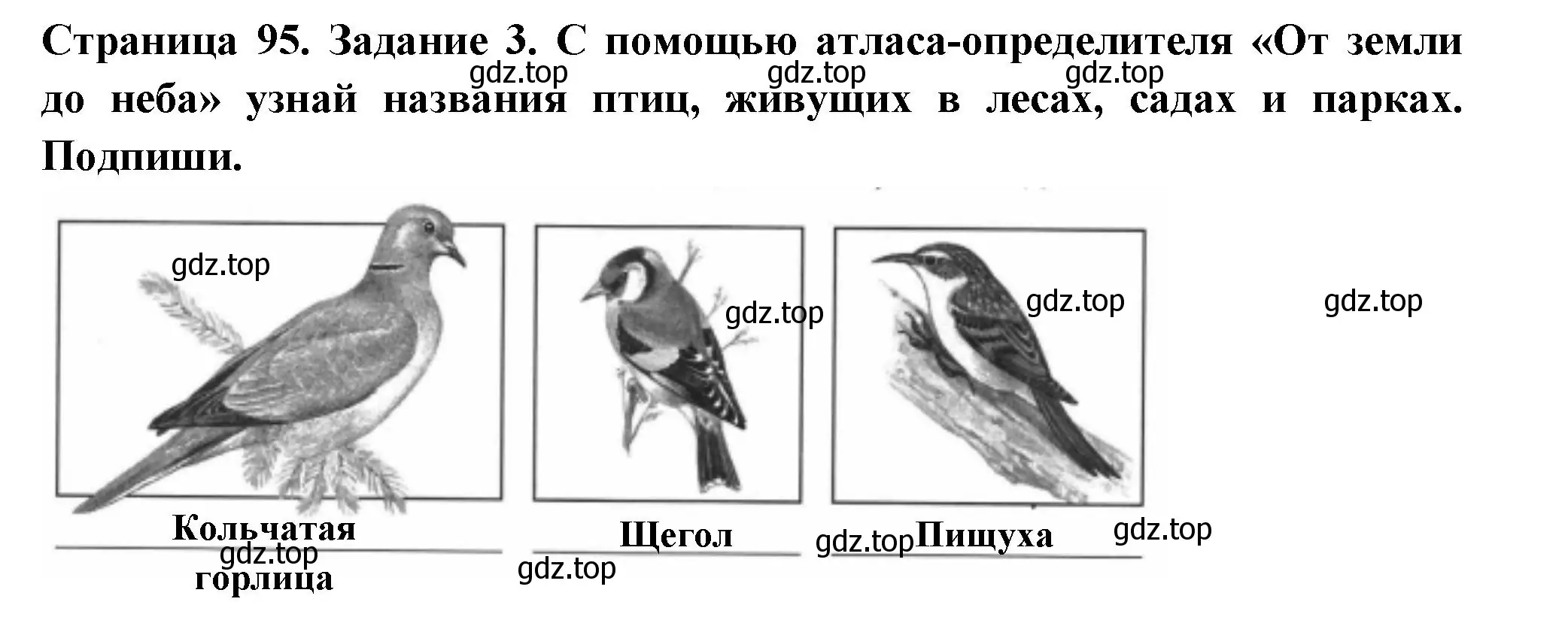 Решение номер 3 (страница 95) гдз по окружающему миру 4 класс Плешаков, Крючкова, проверочные работы