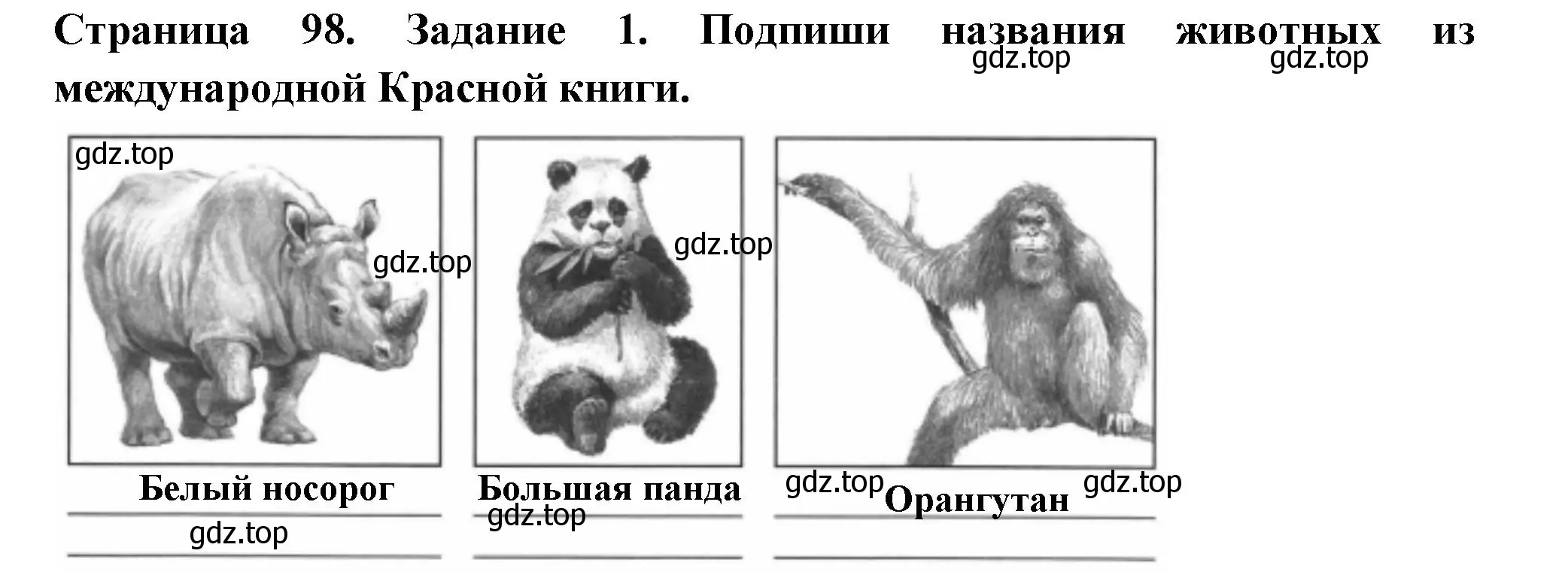 Решение номер 1 (страница 98) гдз по окружающему миру 4 класс Плешаков, Крючкова, проверочные работы