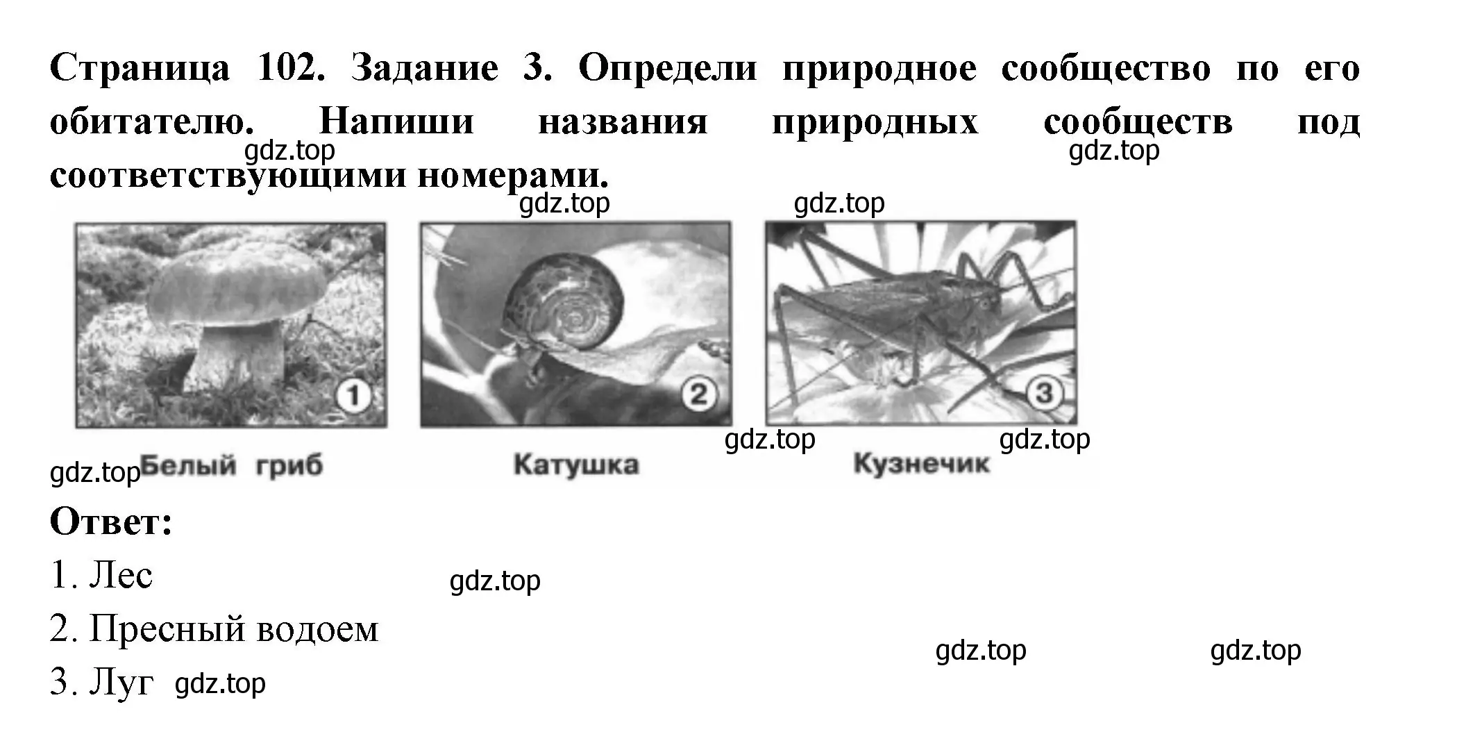 Решение номер 3 (страница 102) гдз по окружающему миру 4 класс Плешаков, Крючкова, проверочные работы