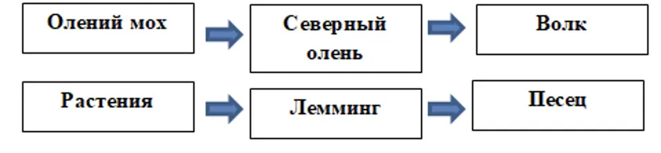 Цепи питания - окружающий мир 4 класс Плешаков