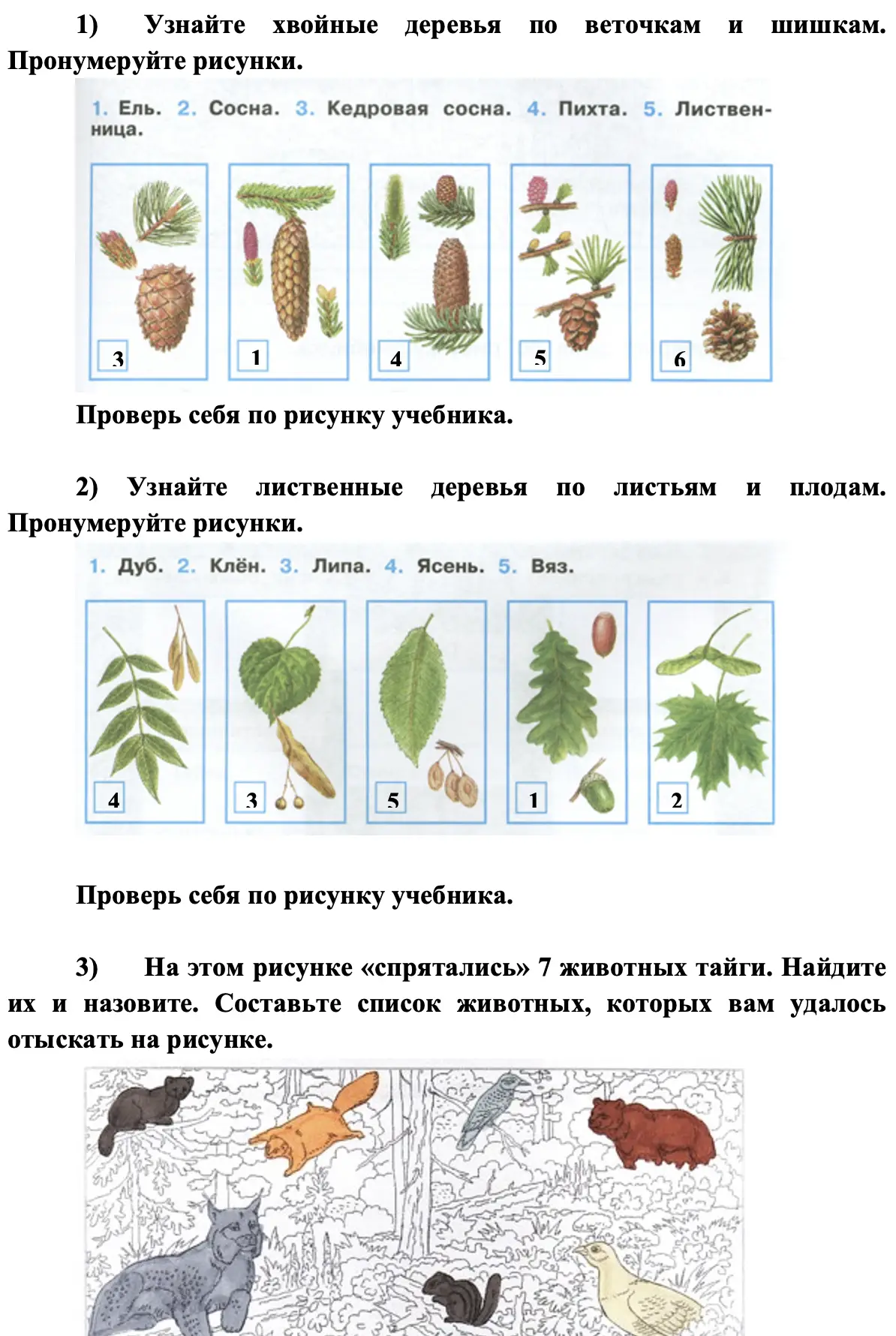 Деревтя - окружающий мир 4 класс Плешаков