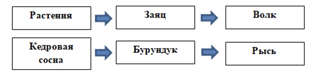  - окружающий мир 4 класс Плешаков