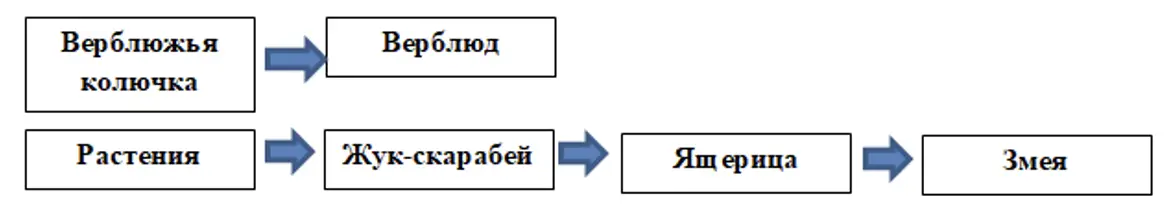  - окружающий мир 4 класс Плешаков