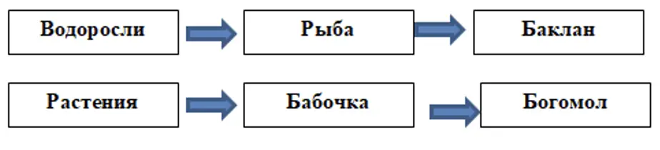 Пищевые цепи - окружающий мир 4 класс Плешаков