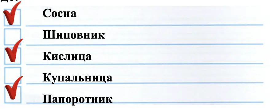 Запишите названия растений леса. - окружающий мир 4 класс Плешаков