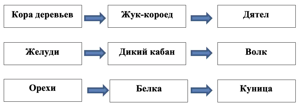 Цепи питания в лесу - окружающий мир 4 класс Плешаков