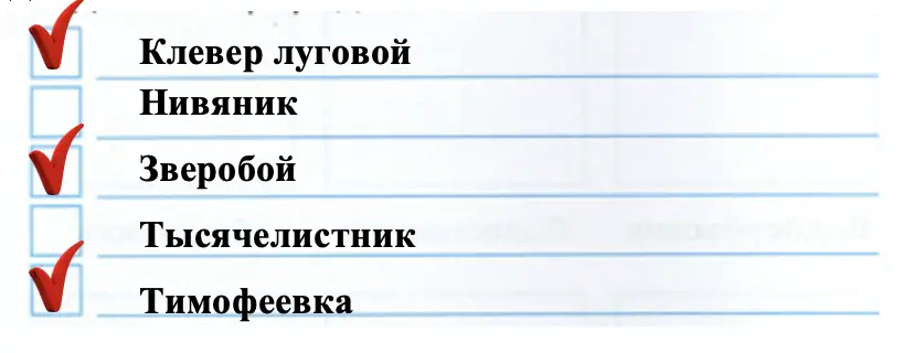 Запишите названия растений луга - окружающий мир 4 класс Плешаков