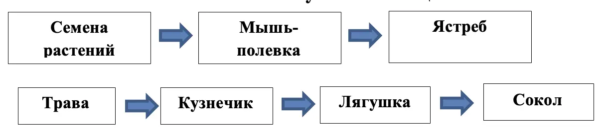 Составь схему цепи питания, характерной для лугового сообщества вашего края. - окружающий мир 4 класс Плешаков