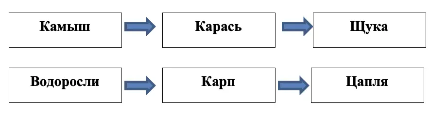 Составь схему цепи питания, характерной для пресноводного сообщества вашего края. - окружающий мир 4 класс Плешаков