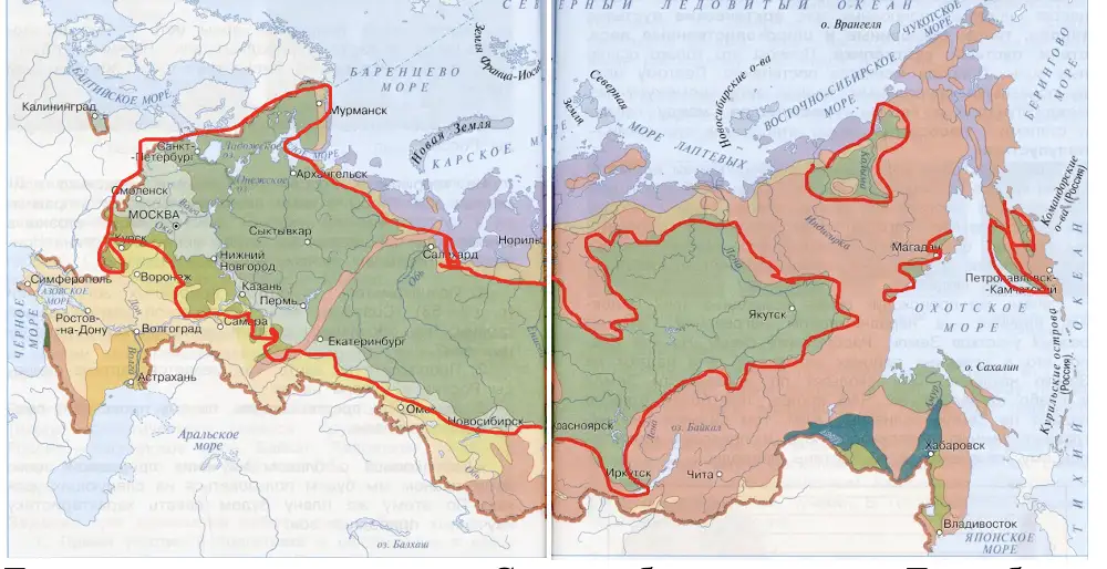 Лесные зоны - окружающий мир 4 класс Плешаков