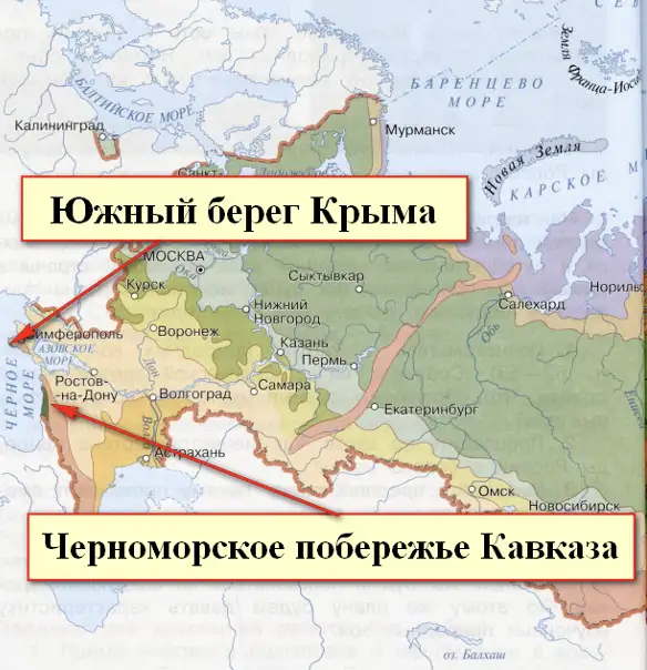 Черноморское побережье Кавказа и Южный берег Крыма - окружающий мир 4 класс Плешаков